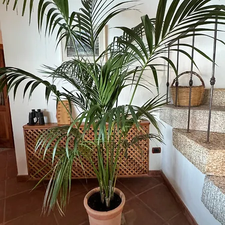 Tirnanog Castelsardo